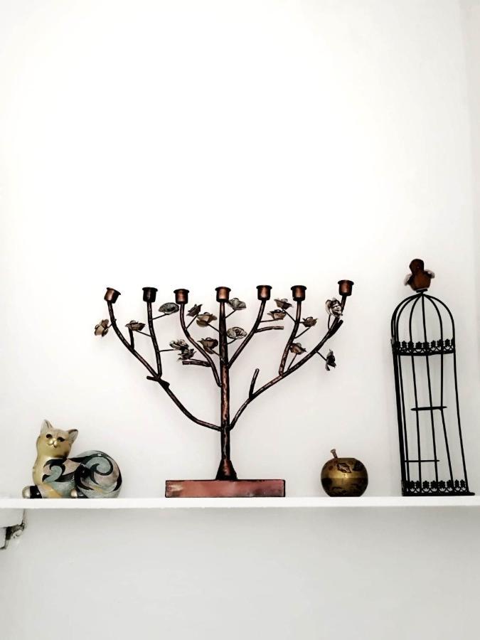 Apartment With Garden Hanja Mostar Buitenkant foto